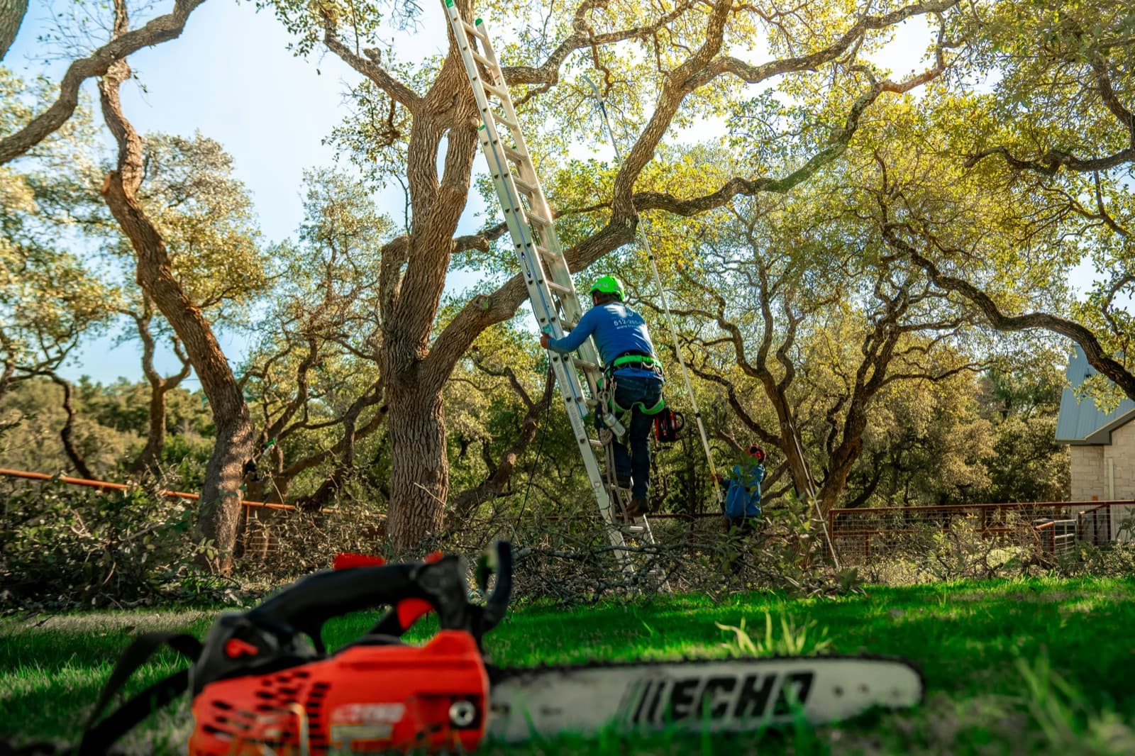 Hill Country Tree Service