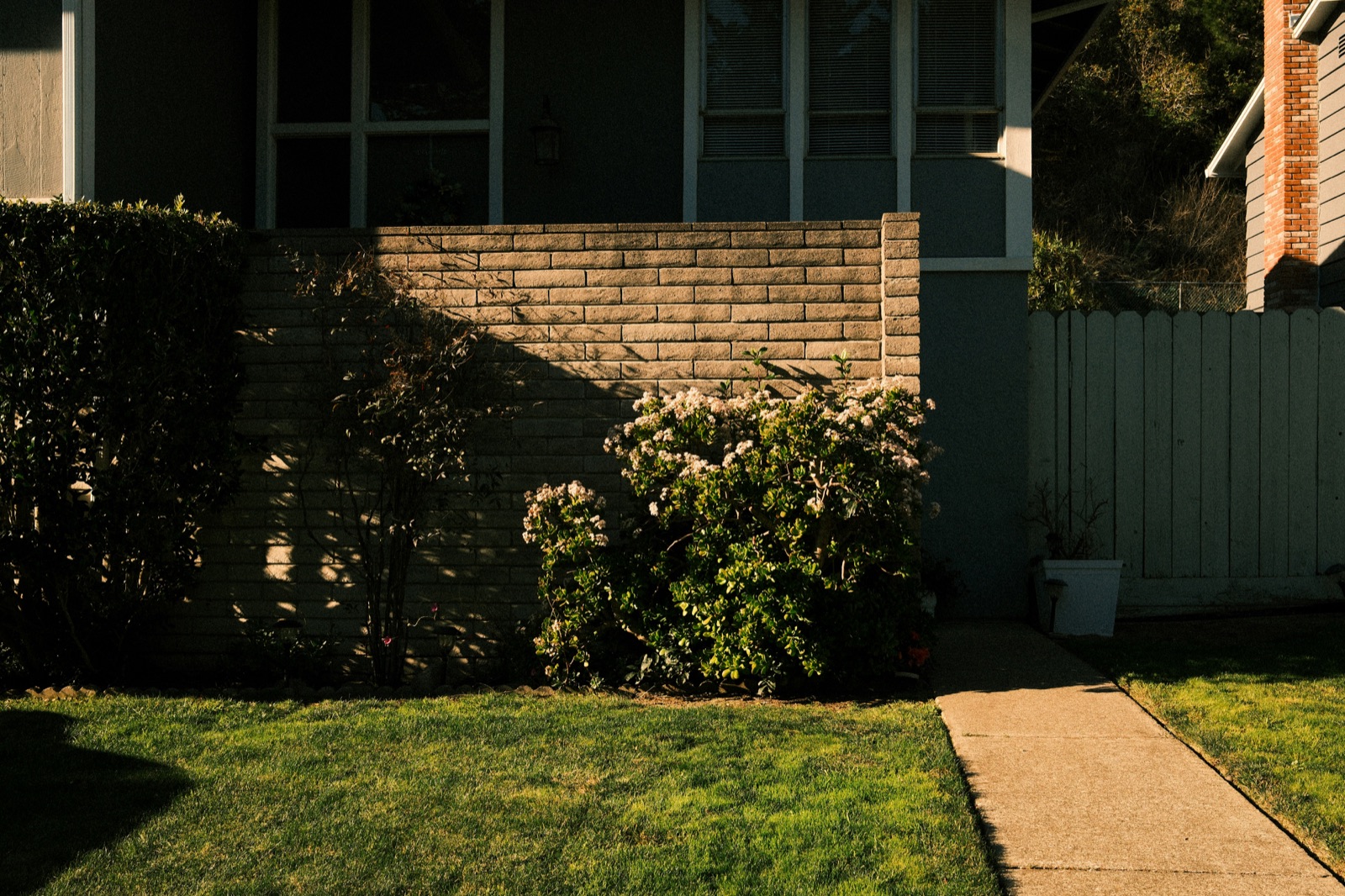 Front yard · Travis County · captured 2026-04-22. Zones overlaid; cedar + mulch findings tagged.